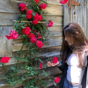 Meet your Posher, Rachel